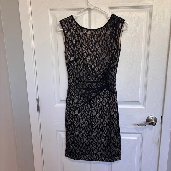 REISS Alma Gathered Lace Dress - Picture 3 of 6
